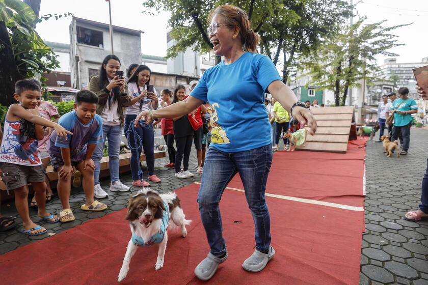 Pet fashion show held to mark World Animal Day in the Philippines © ANSA/EPA